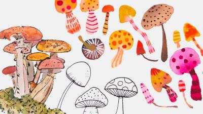 A collage of illustrated mushrooms in watercolor and pen and ink