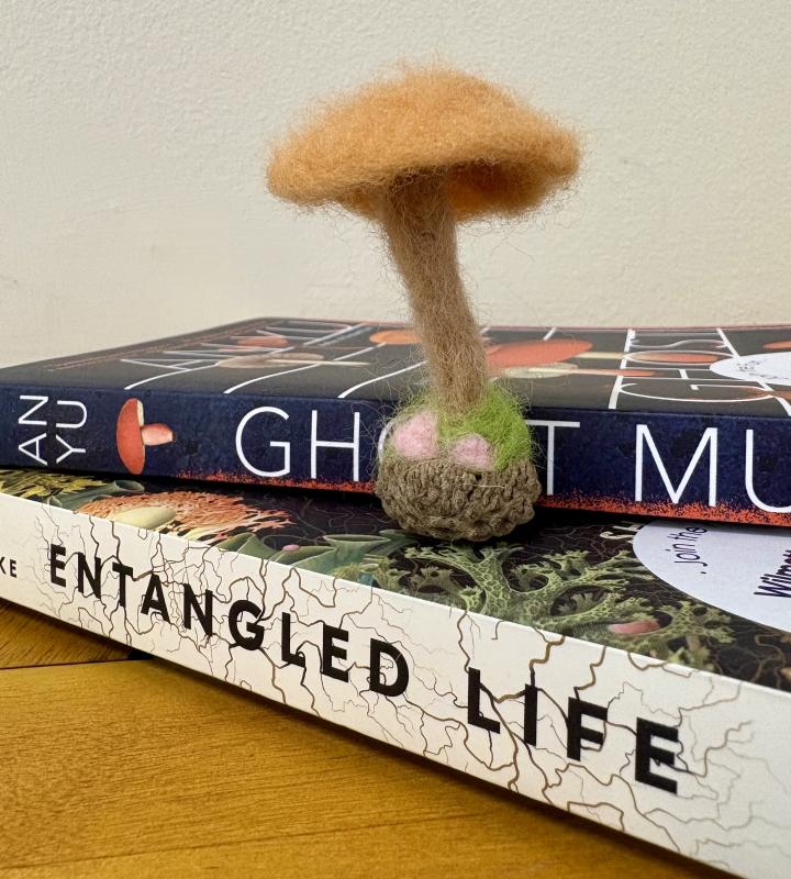 Image of a needle felted mushroom in an acorn cap next to two books